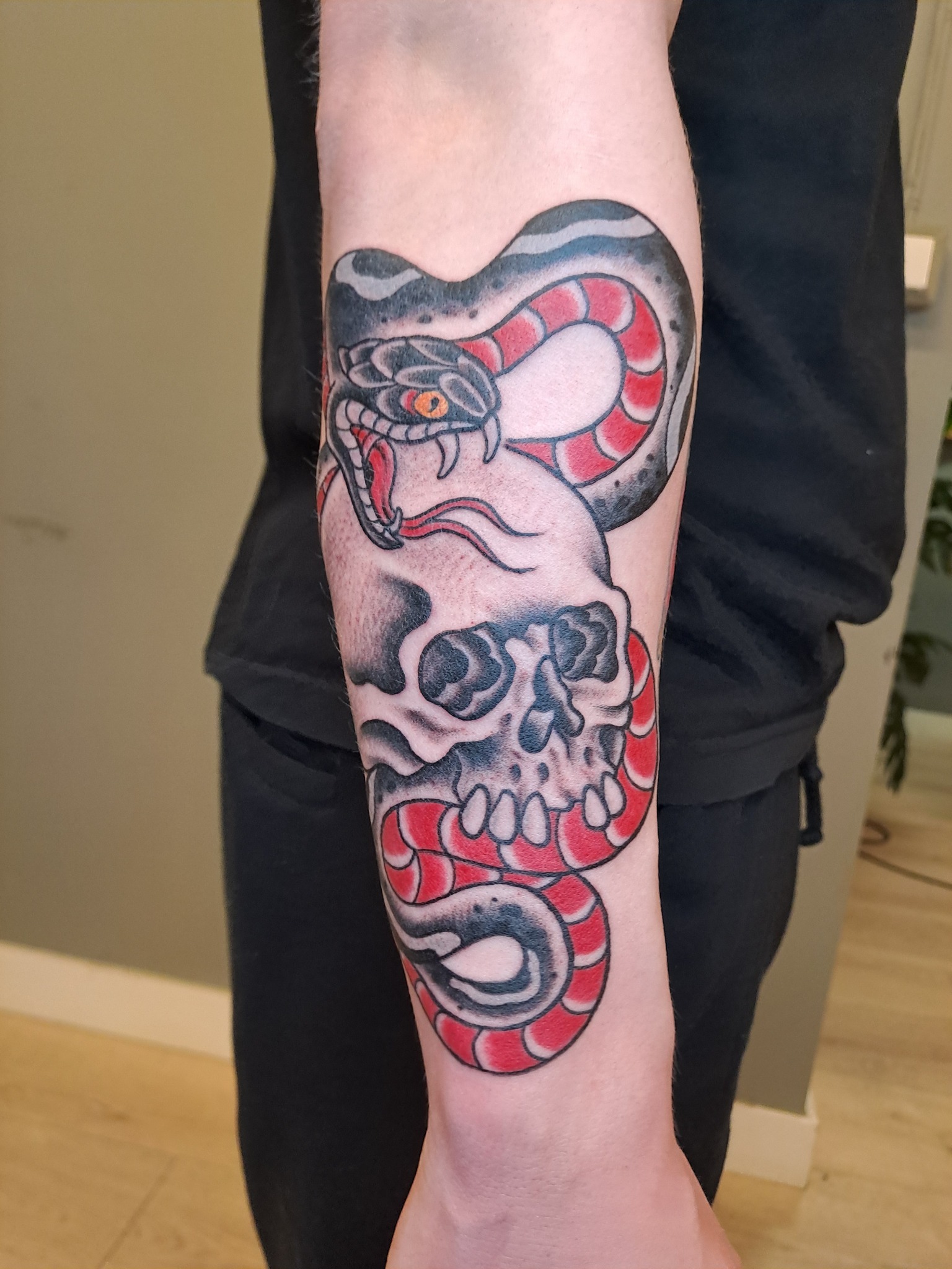 Traditional colour snake and skull tattoo